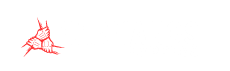 HERMANOS EXPRESS